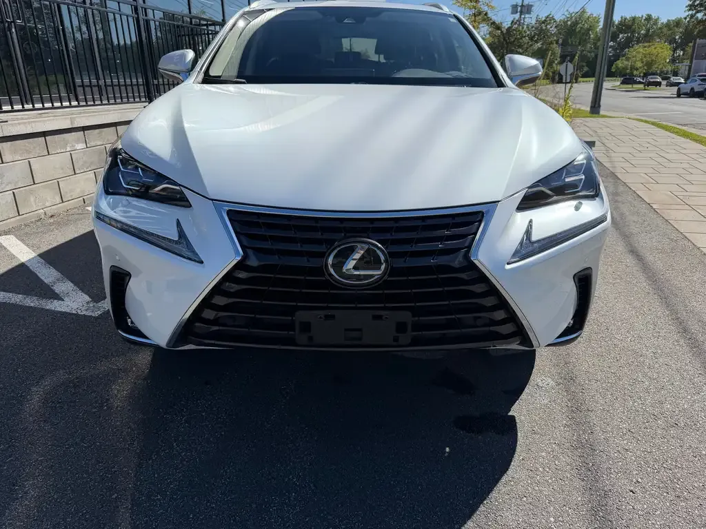 Lexus Nx 2020 photo 2