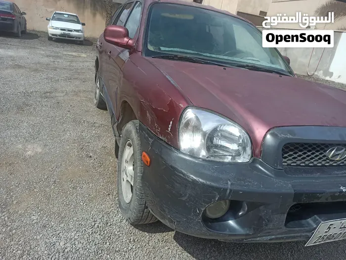 Hyundai Grand Santa Fe 2004 photo 2