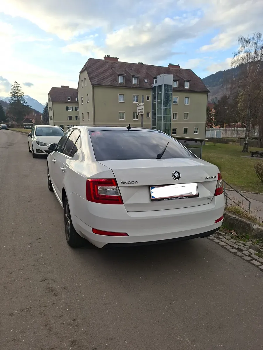 Skoda Octavia 2013 photo 2