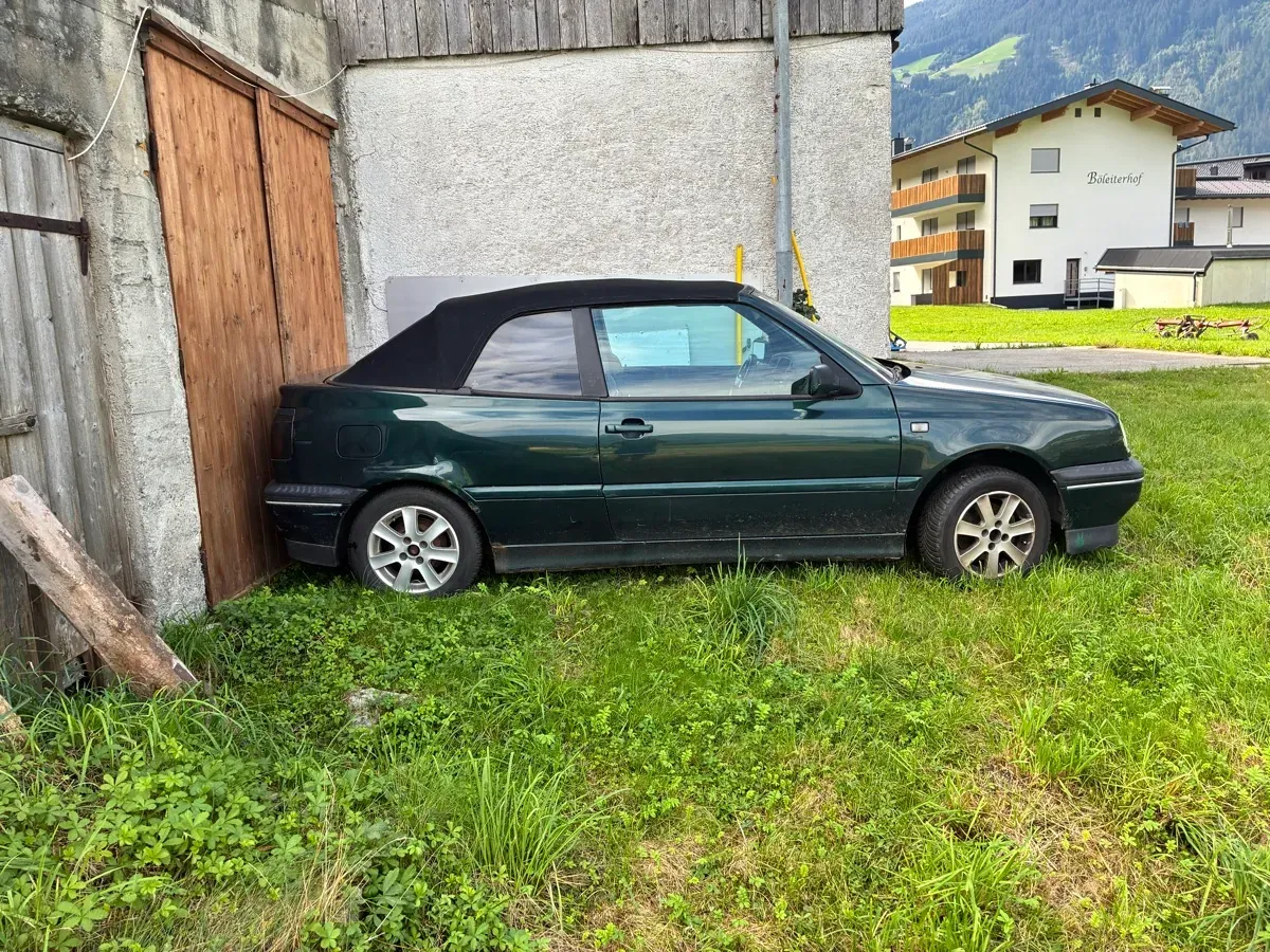 Volkswagen Golf 1994 photo 2