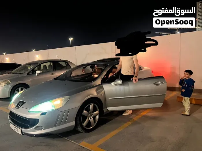 Peugeot 407 2008 photo 3