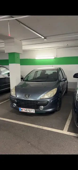 Peugeot 307 2006 photo 2