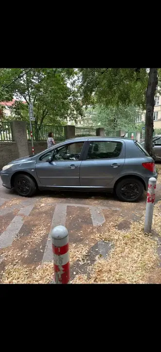 Peugeot 307 2006 photo 3