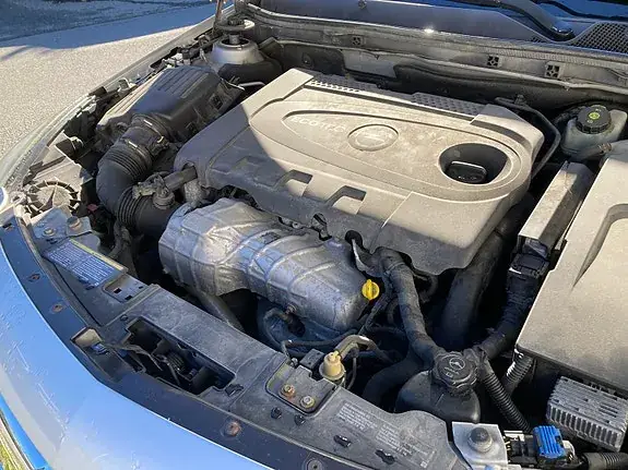 Opel Insignia 2009 photo 4