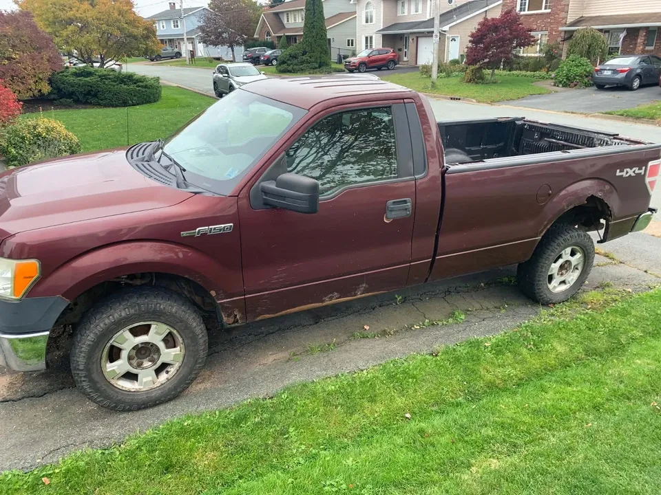 Ford F-150 2009 photo 2