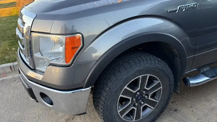 Ford F-150 2009 photo 2
