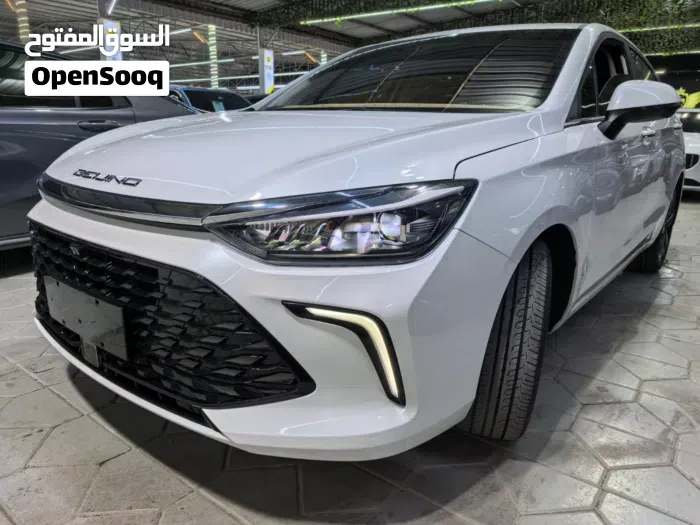 BAIC U5 Plus 2026 photo 2