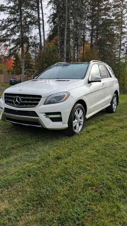 Mercedes-Benz Ml 2018 photo 2