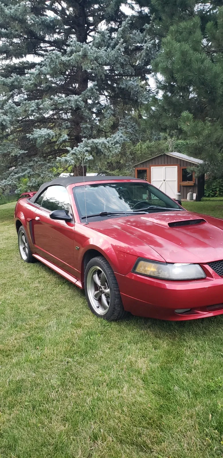 Ford Mustang 2003 photo 4