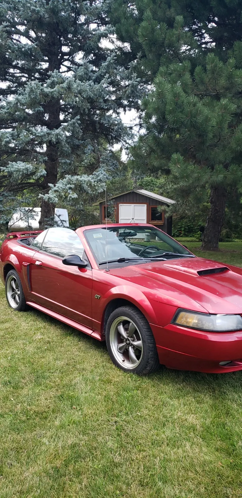 Ford Mustang 2003 photo 2