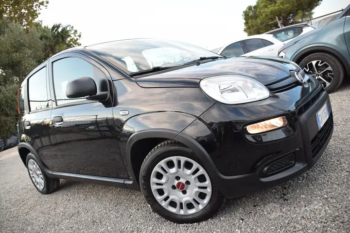 Fiat Panda 2024 photo 3