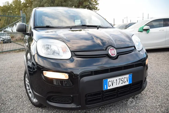 Fiat Panda 2024 photo 2