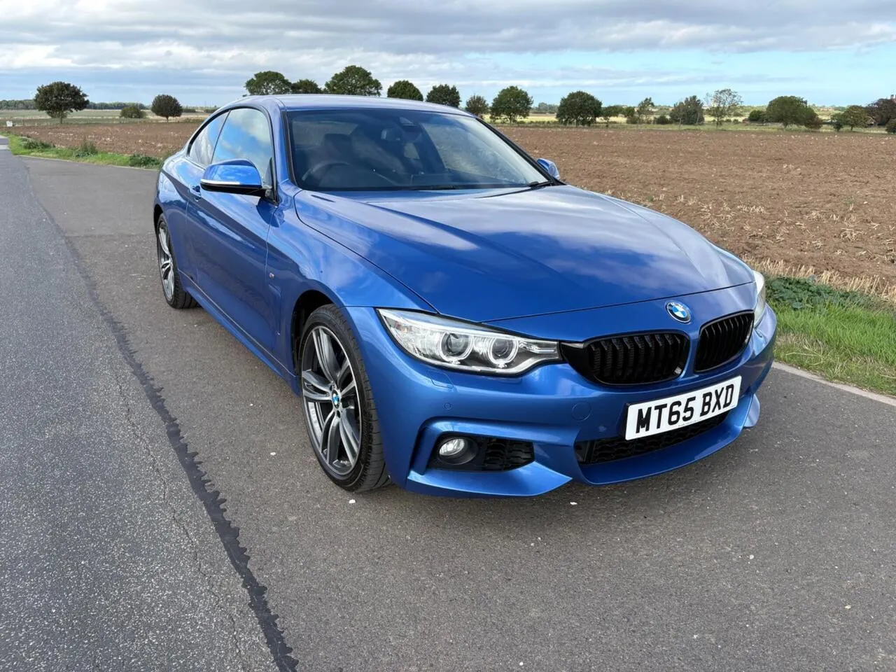 BMW 4 Series 2015 photo 3
