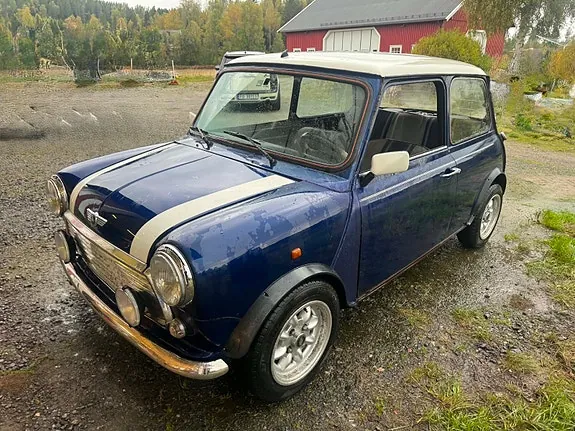 Rover Mini