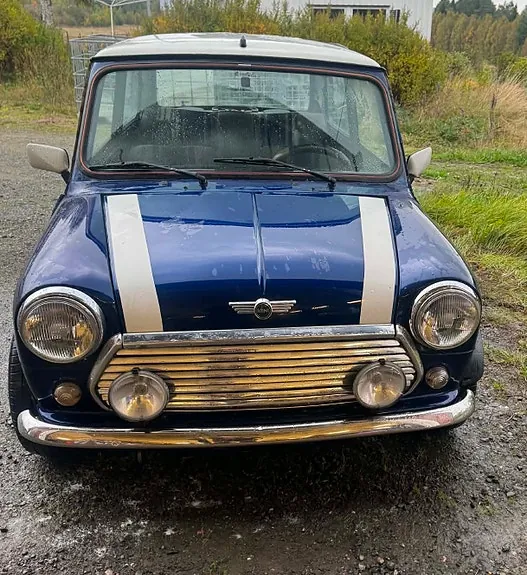 Rover Mini 1998 photo 3