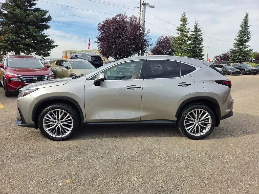 Lexus Nx 2024 photo 4