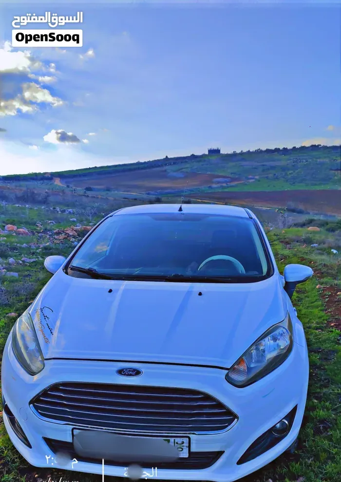 Ford Fiesta 2014 photo 2