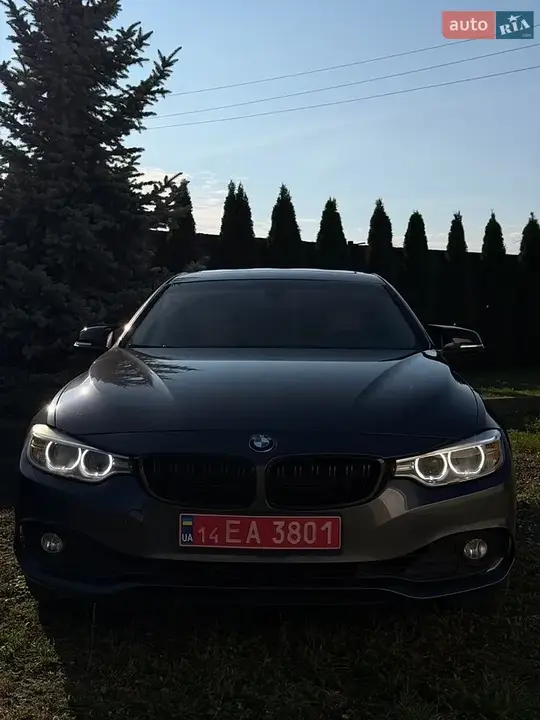 BMW 4 Series Gran Coupe 2015 photo 2