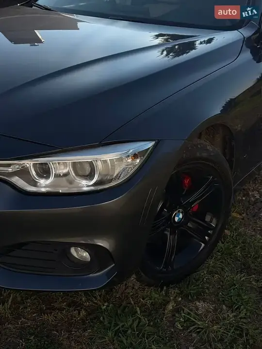 BMW 4 Series Gran Coupe 2015 photo 4