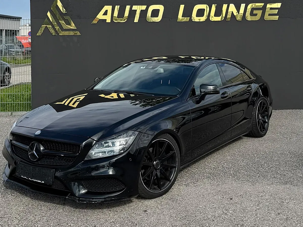 Mercedes-Benz Cls 2010 photo 2