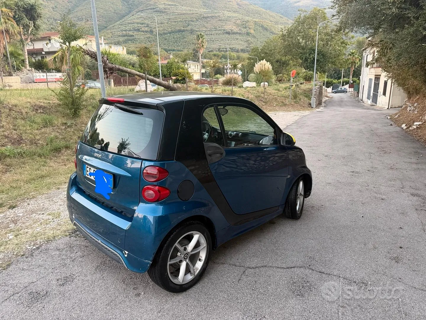 Smart Fortwo 2010 photo 4