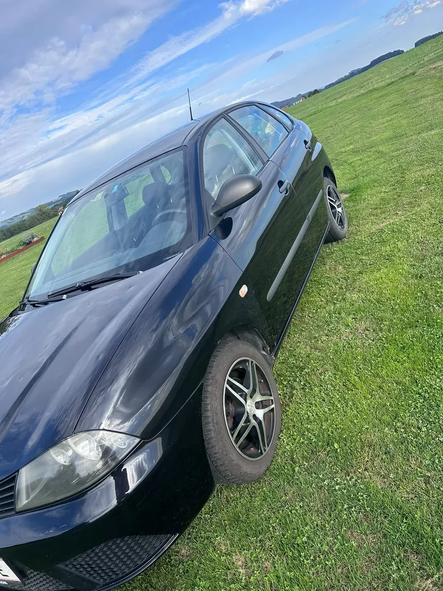 Seat Ibiza 2008 photo 2