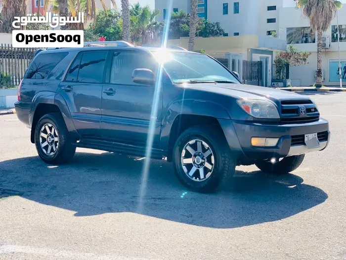 Toyota 4Runner 2004 photo 3