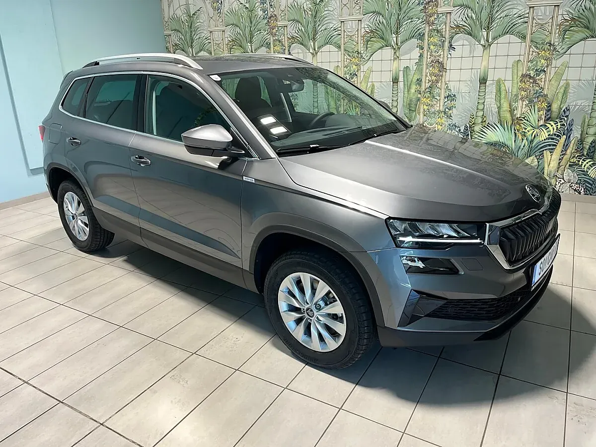 Skoda Karoq