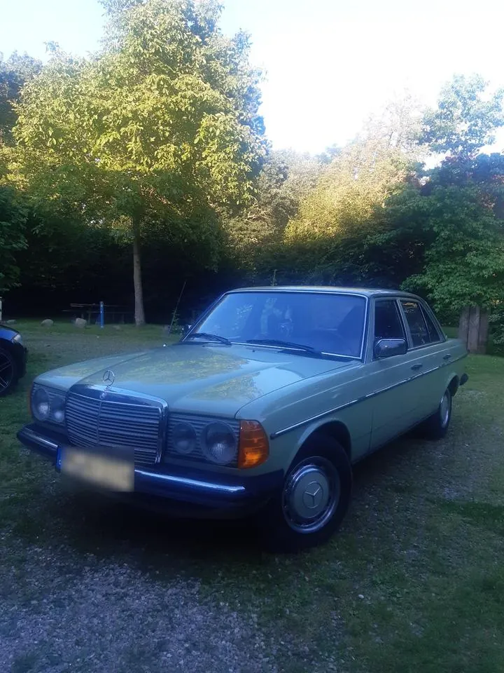Mercedes-Benz W123