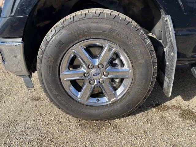 Ford F-150 2024 photo 4