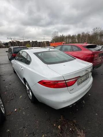 Jaguar Xf 2017 photo 3