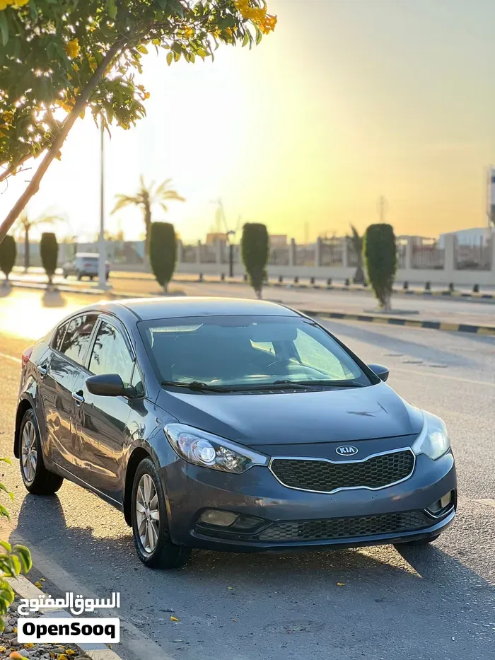 Kia Forte 2014 photo 2