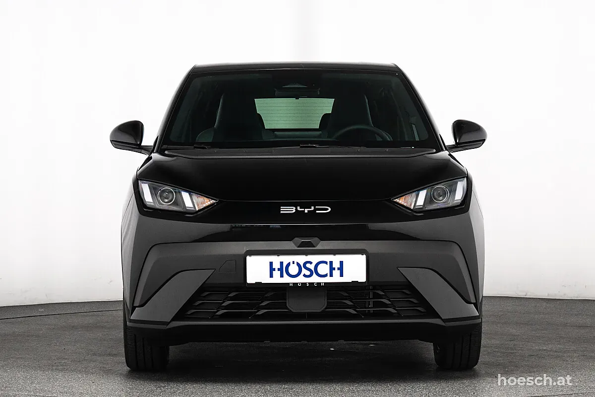 BYD Dolphin Surf 2026 photo 2