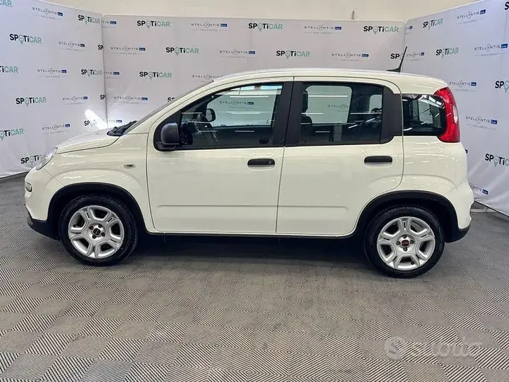 Fiat Panda 2024 photo 2