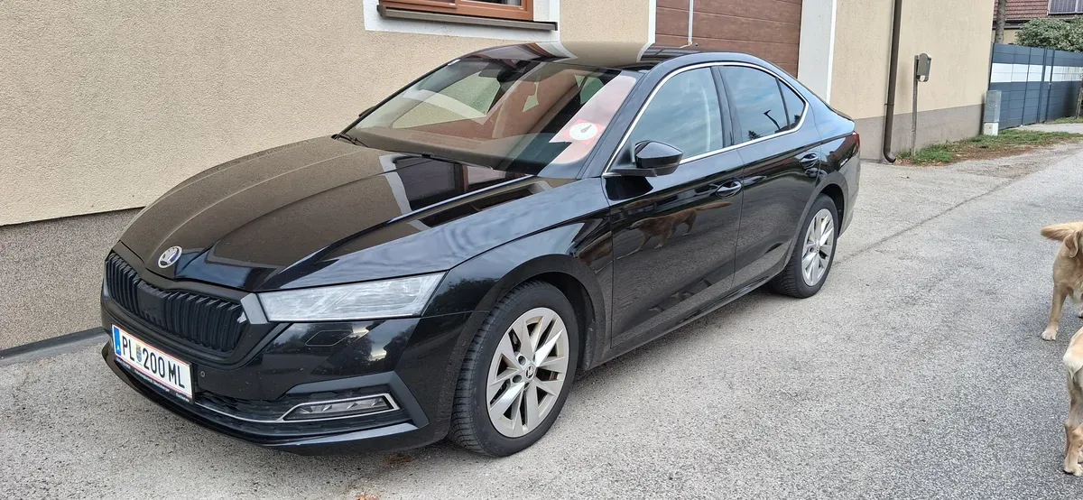 Skoda Octavia 2021 photo 2