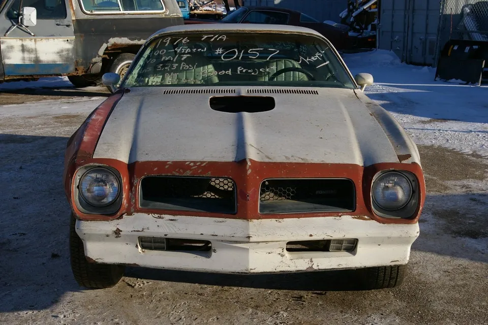 Pontiac Trans Am 1976 photo 2