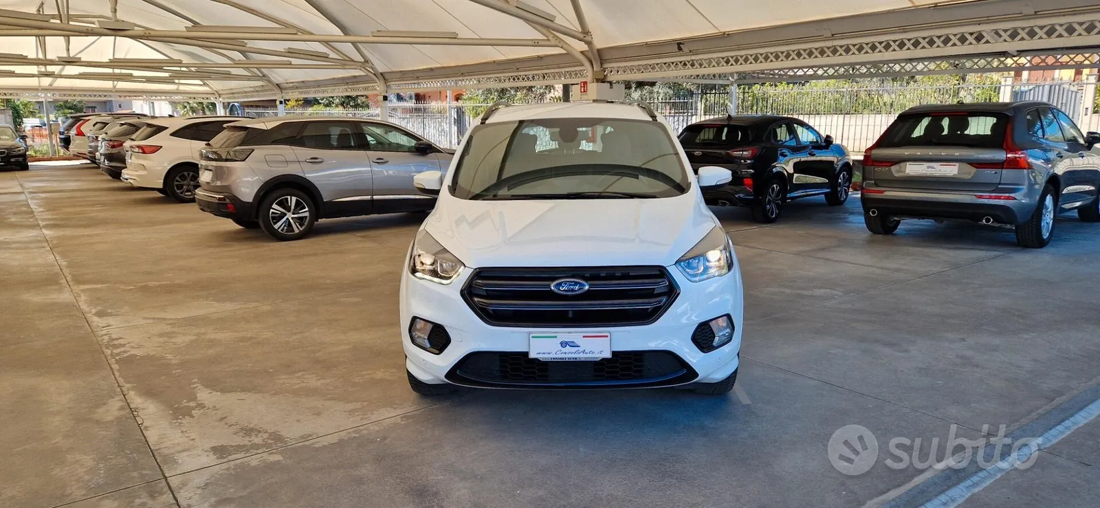 Ford Kuga 2019 photo 3