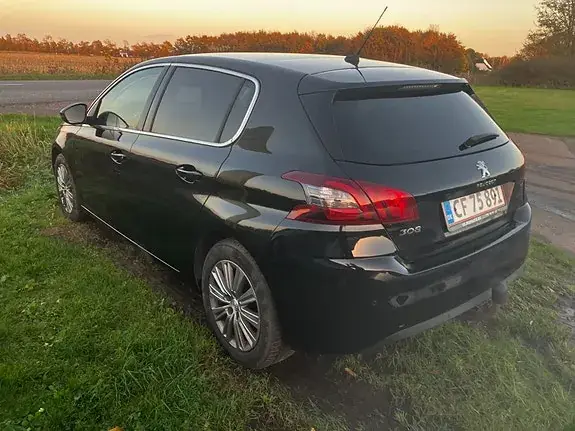 Peugeot 308 2019 photo 3