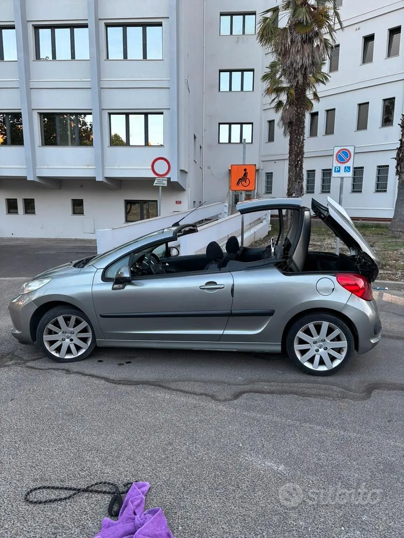 Peugeot 207 2007 photo 5