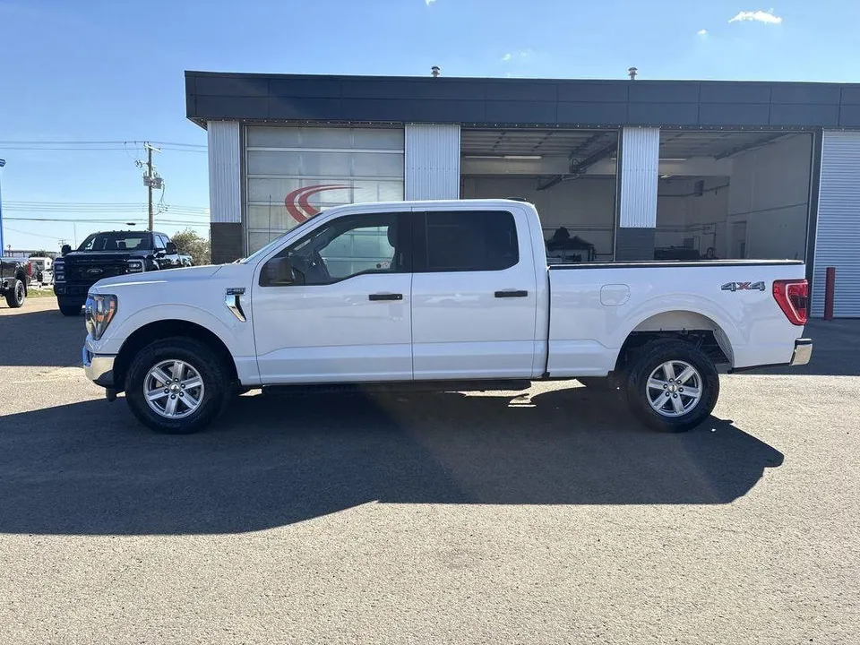 Ford F-150 2023 photo 4