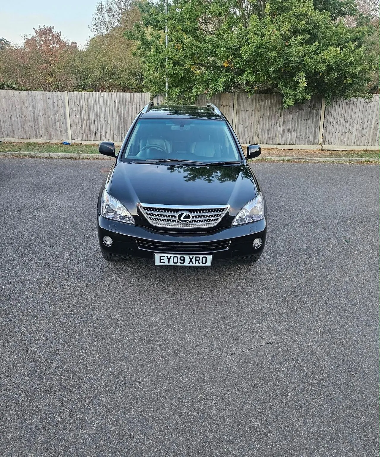Lexus Rx 2009 photo 2