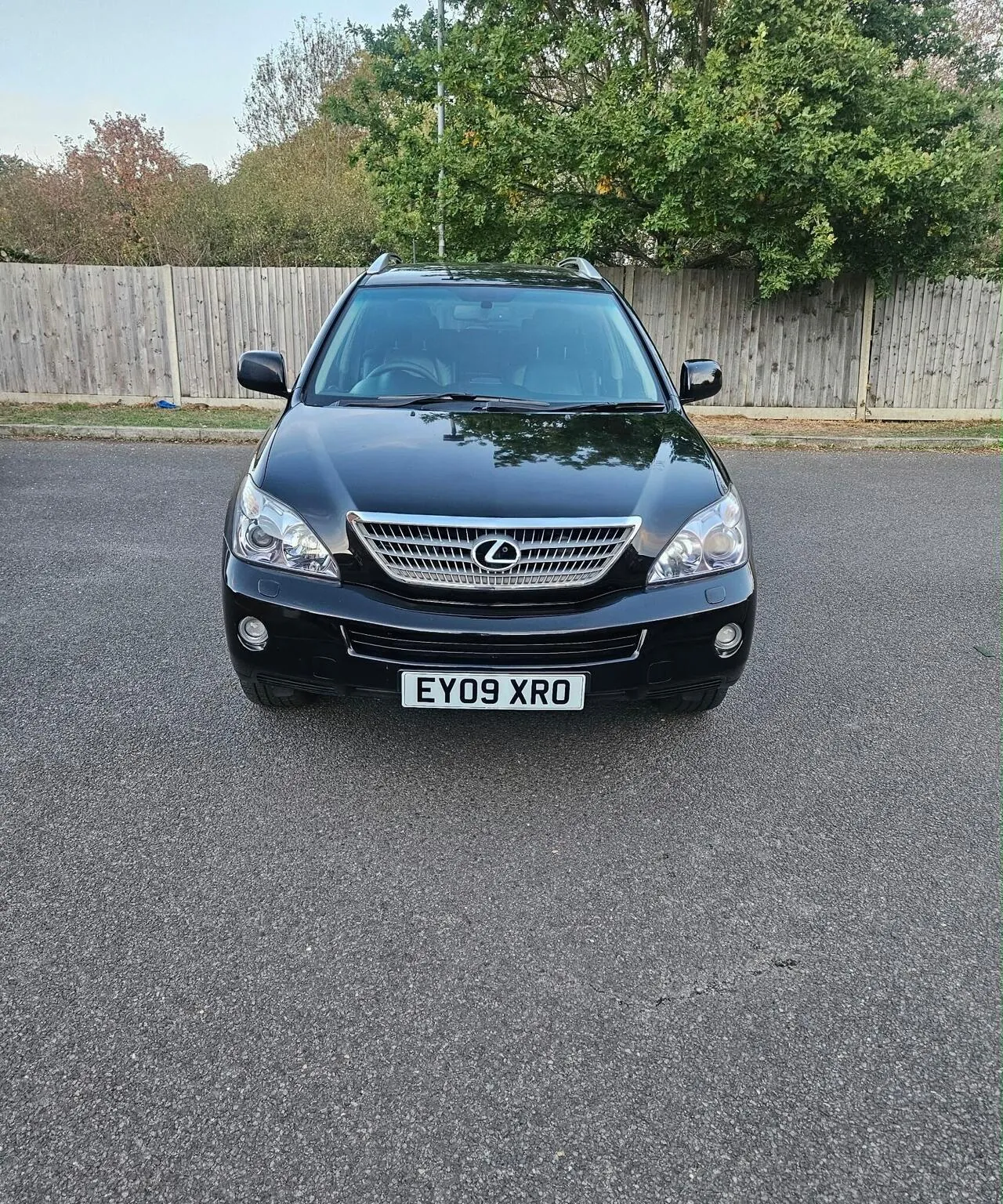 Lexus Rx