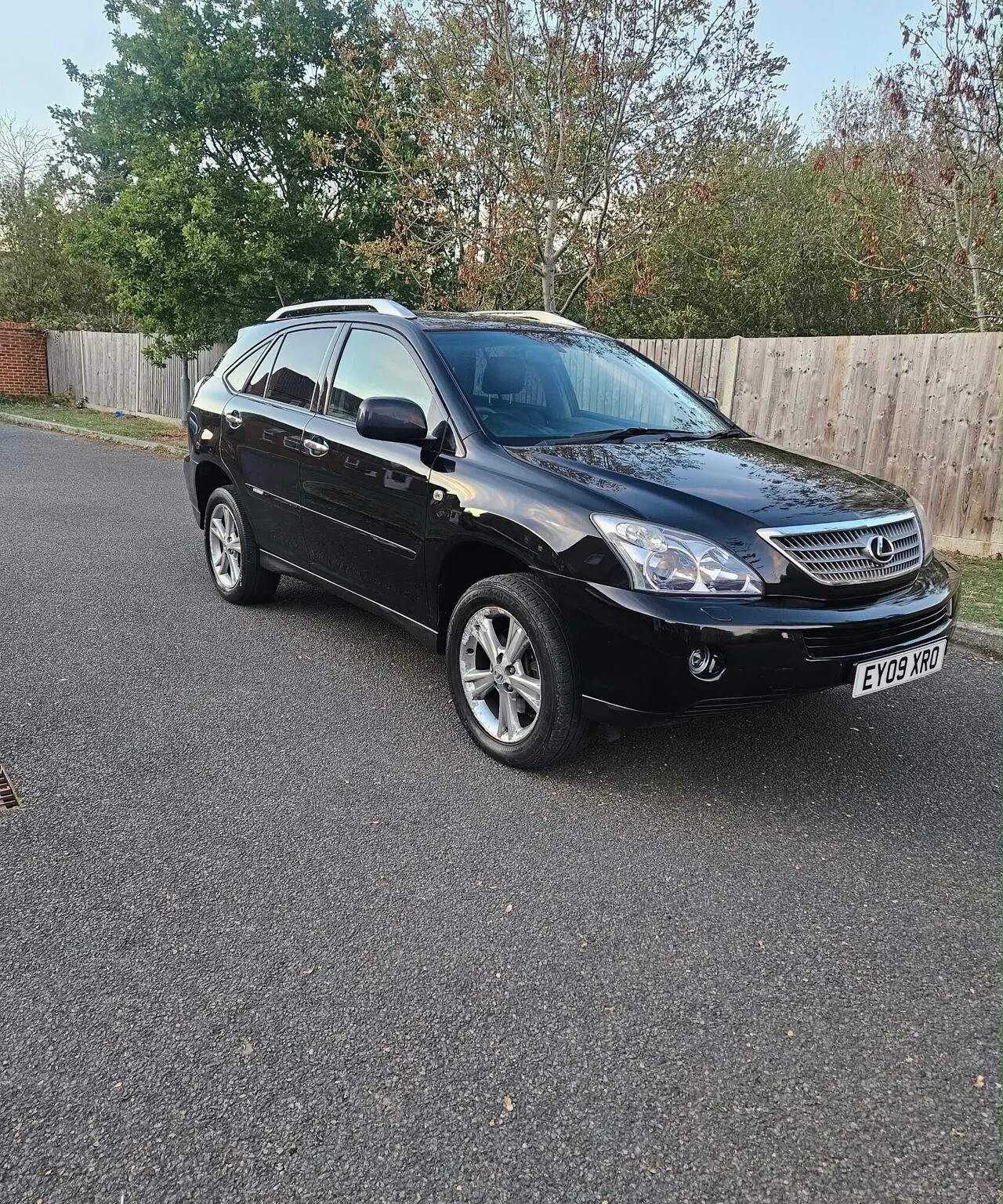Lexus Rx 2009 photo 4