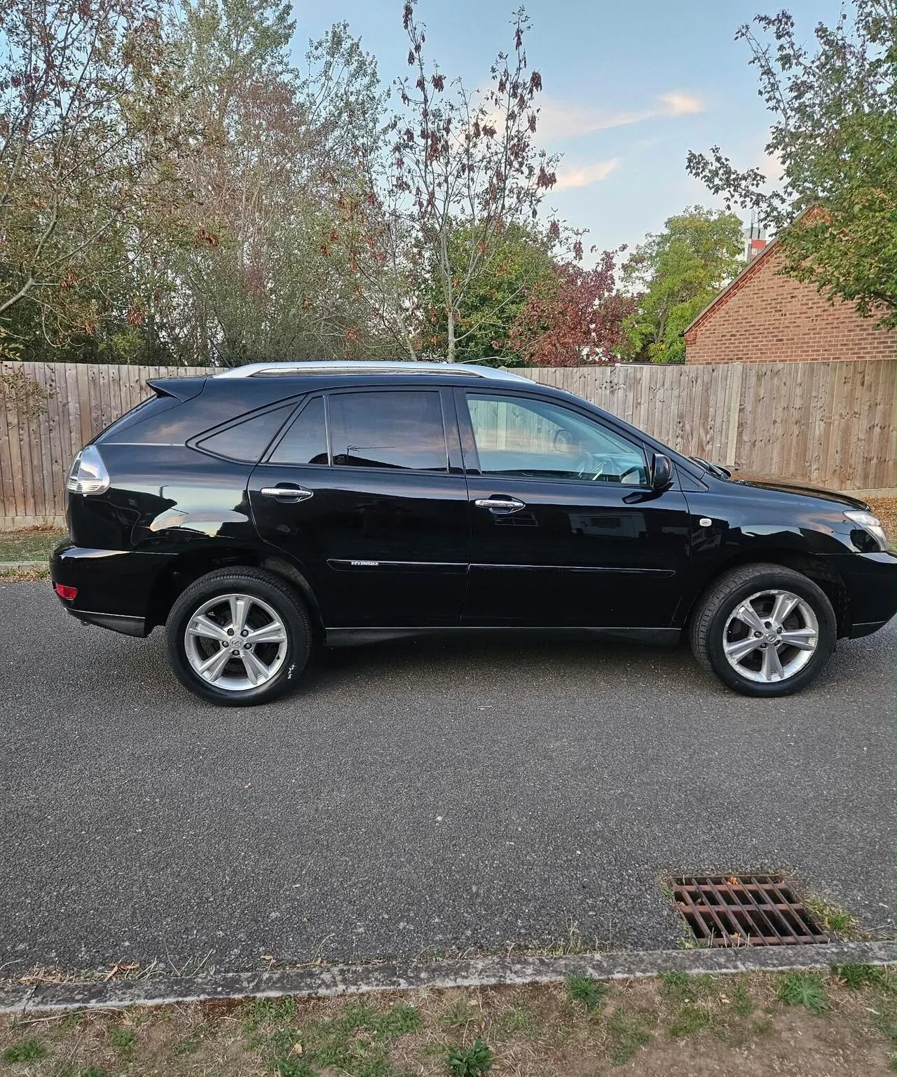 Lexus Rx 2009 photo 5