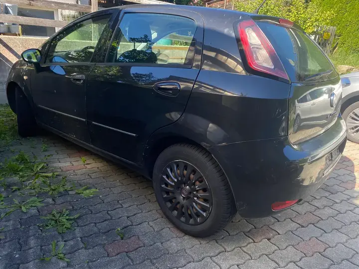 Fiat Punto 2012 photo 2