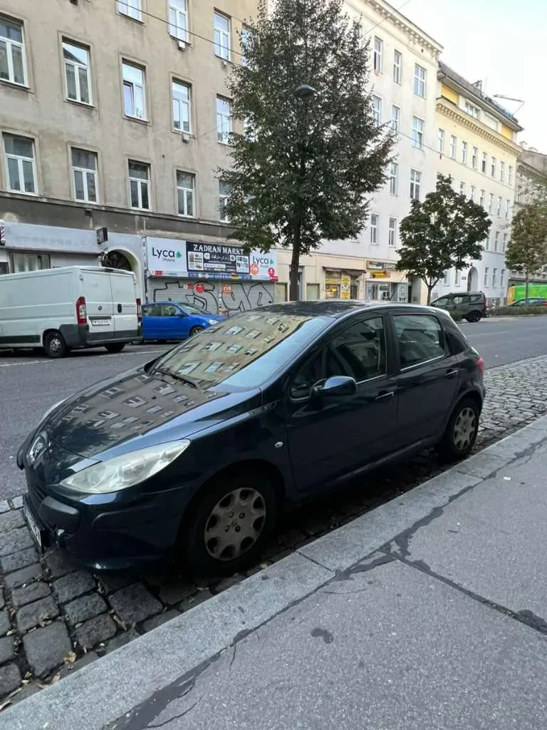 Peugeot 307 2007 photo 2
