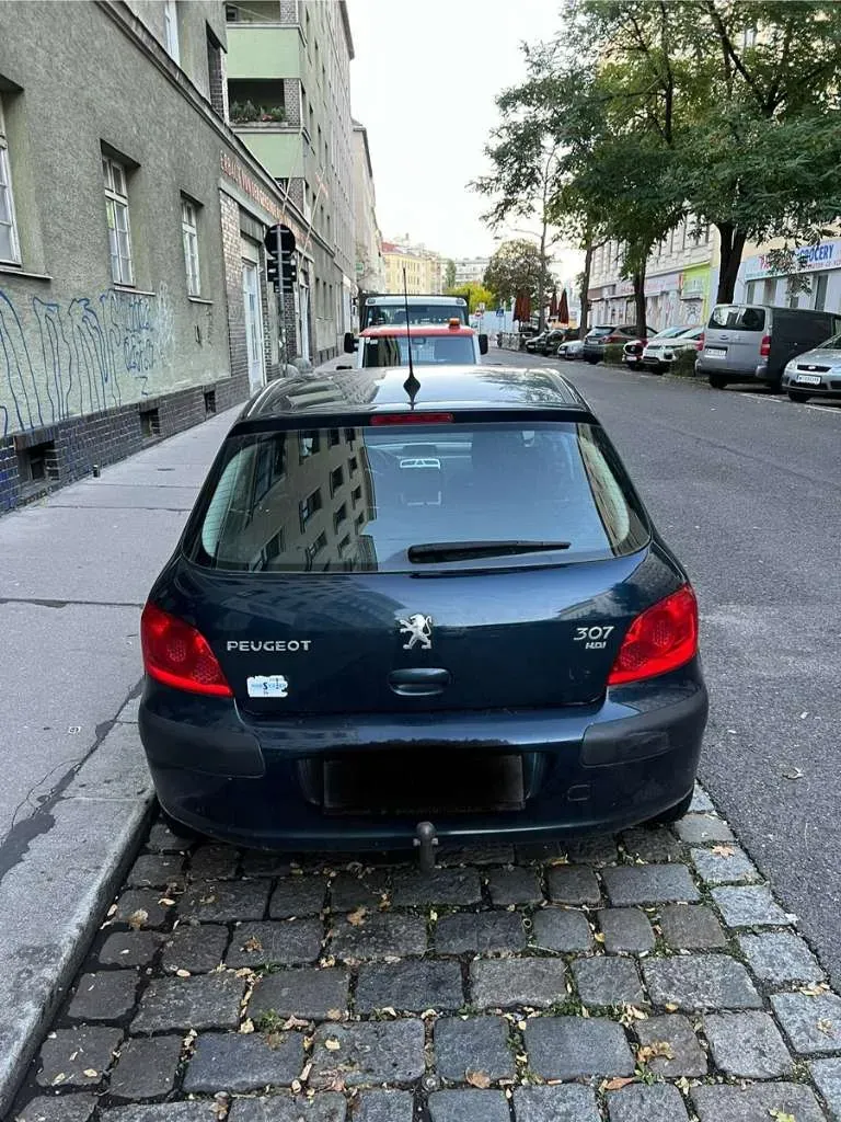 Peugeot 307 2007 photo 3