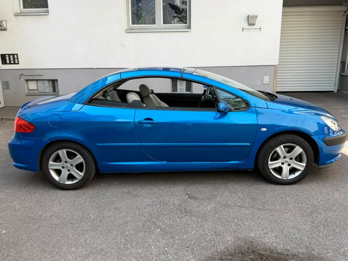 Peugeot 307 2006 photo 3