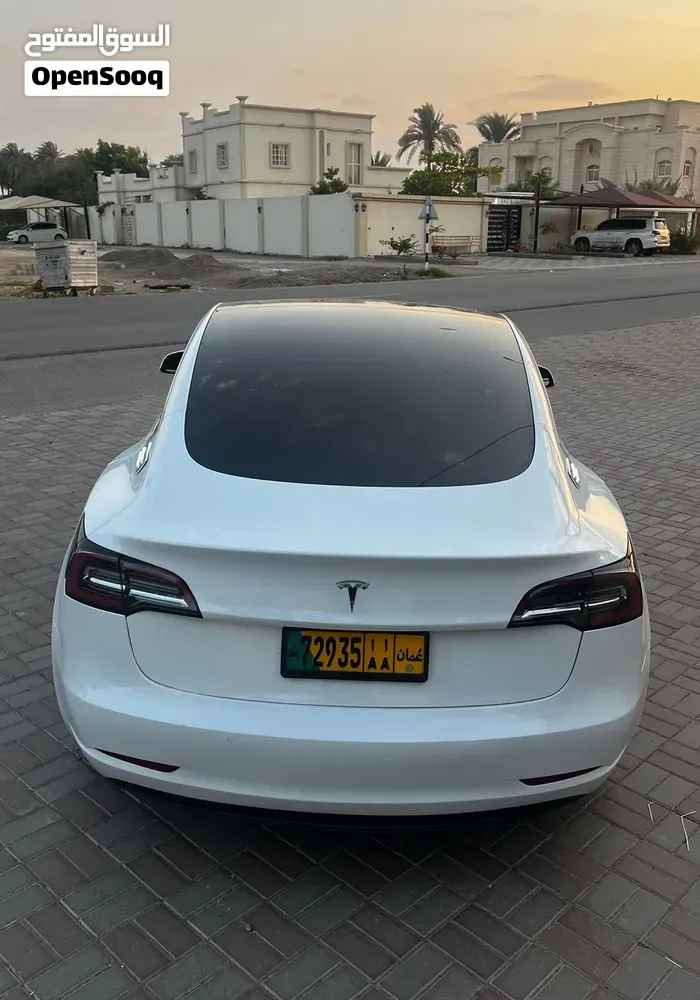 Tesla Model 3 2020 photo 2
