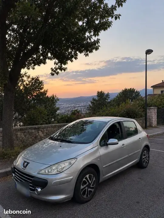 Peugeot 307 2007 photo 3